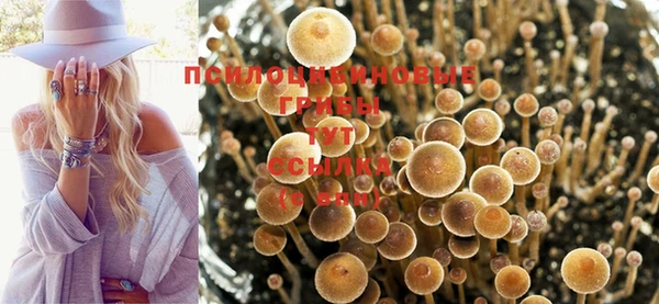 СК Алексеевка